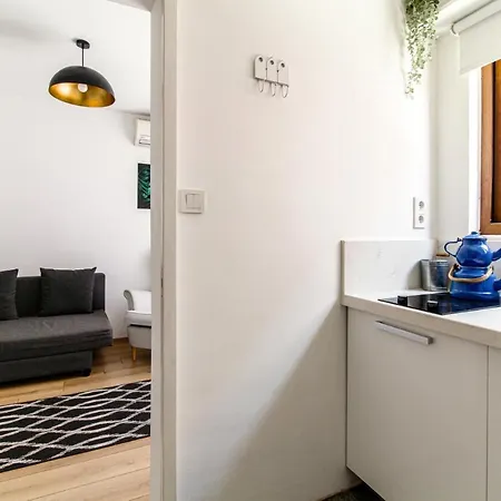 Single House Luminous And Chic Flat In Fatih Istanbul
