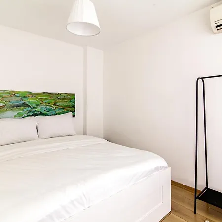 Single House Luminous And Chic Flat In Fatih Appartement