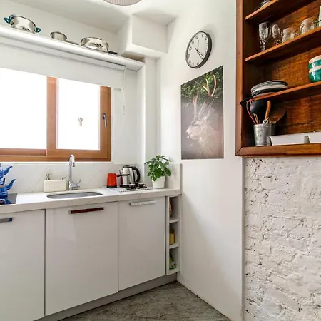 Appartement Single House Luminous And Chic Flat In Fatih Istanboel